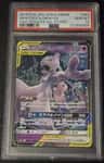 Mewtwo & Mew Gx