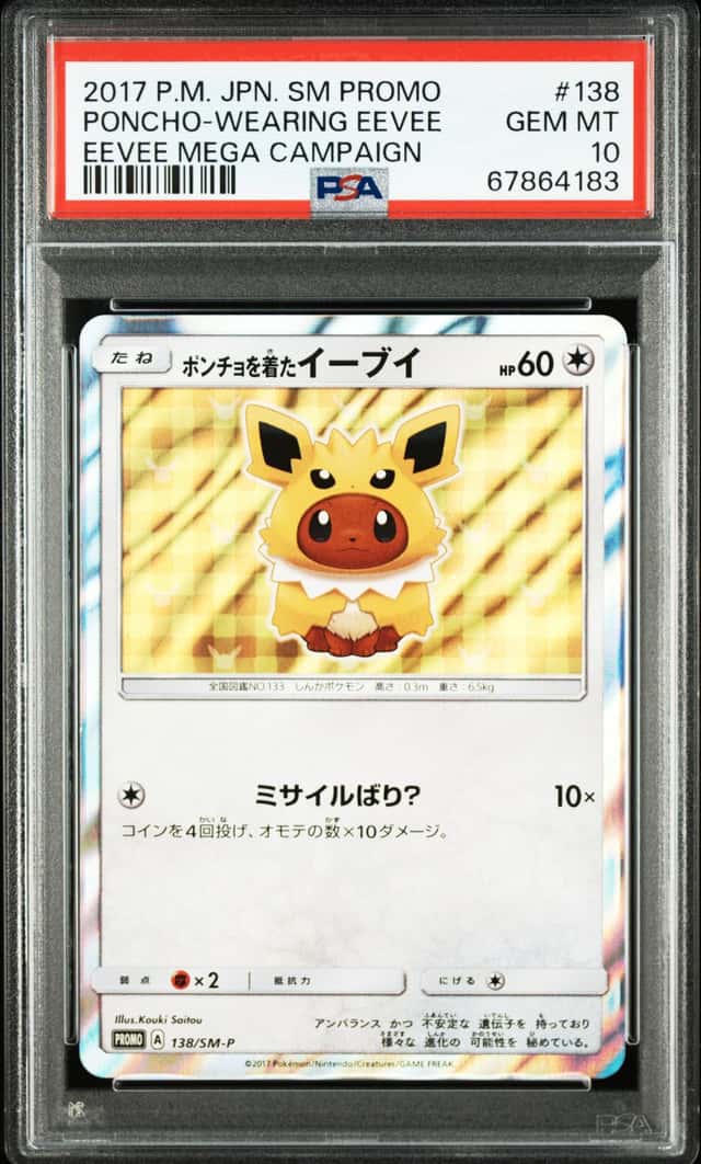Poncho-wearing Eevee