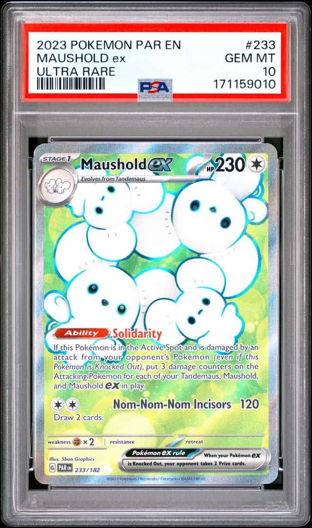MAUSHOLD ex