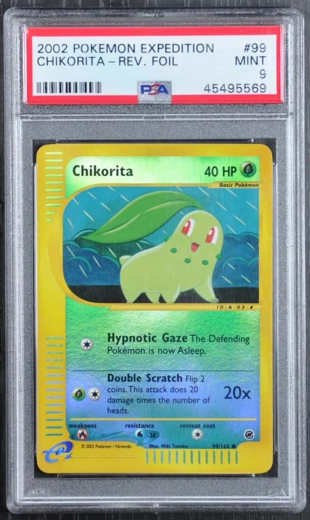 Chikorita