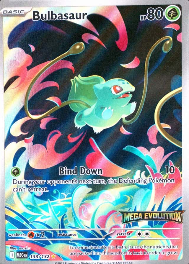 Box Topper