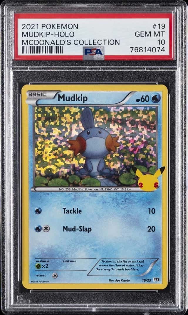 Mudkip