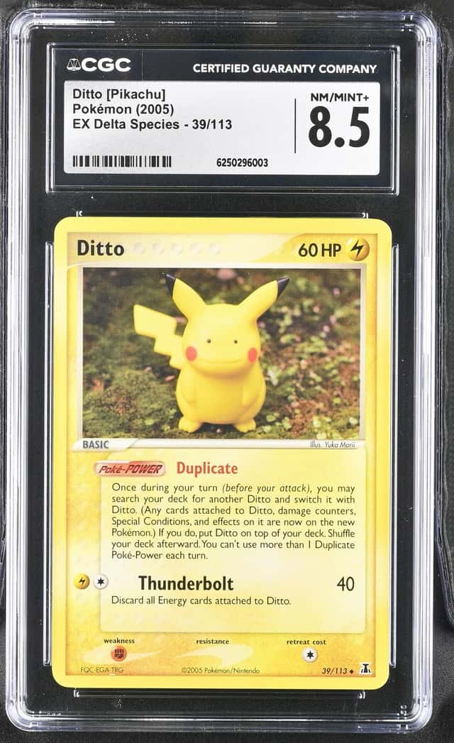 Ditto