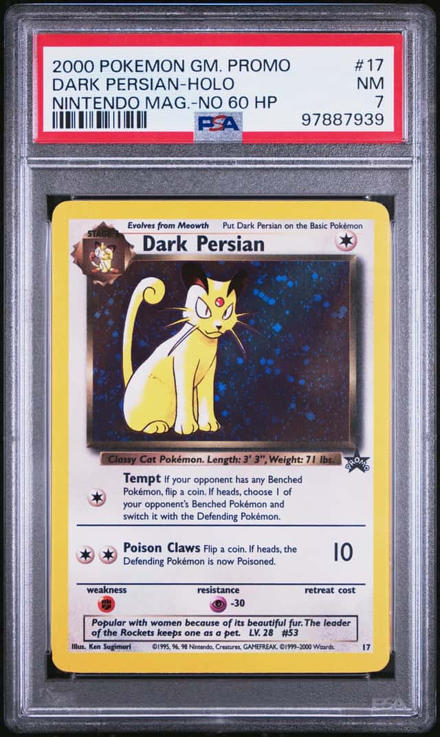 Dark Persian
