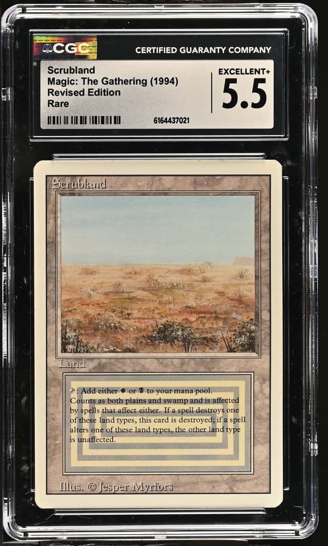 Scrubland