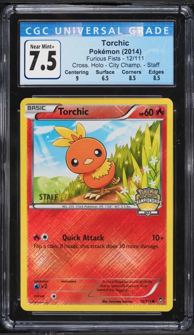 Torchic