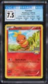 Torchic