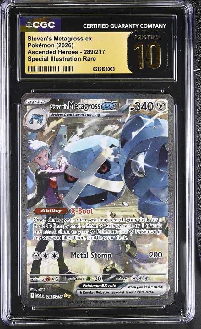 STEVEN'S METAGROSS ex