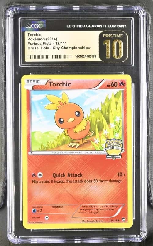 Torchic