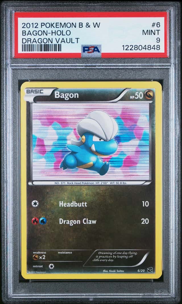Bagon
