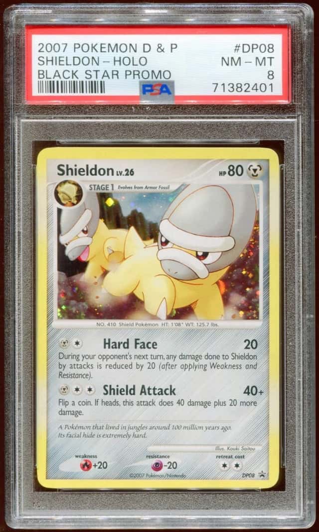 Shieldon