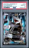 Aggron Ex