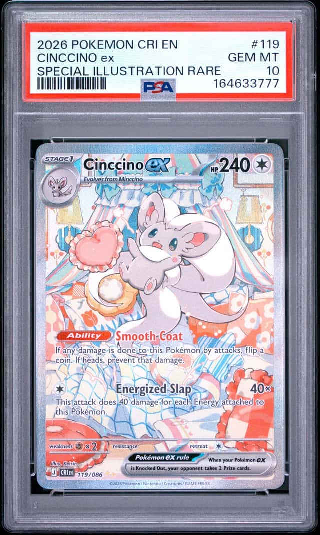 CINCCINO ex