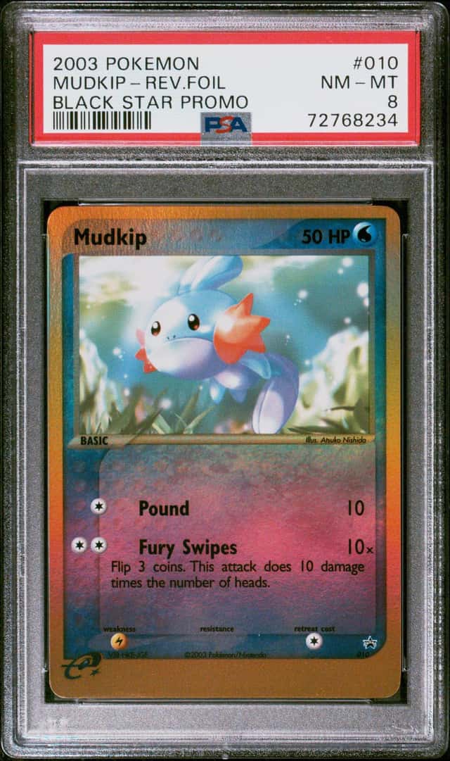 Mudkip