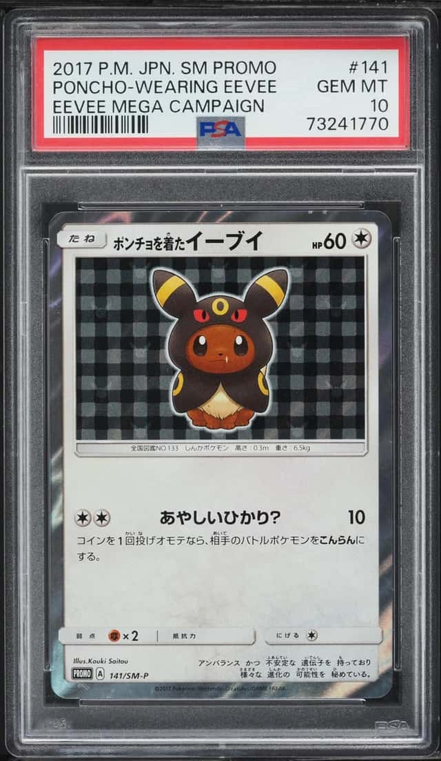 Poncho-Wearing Eevee