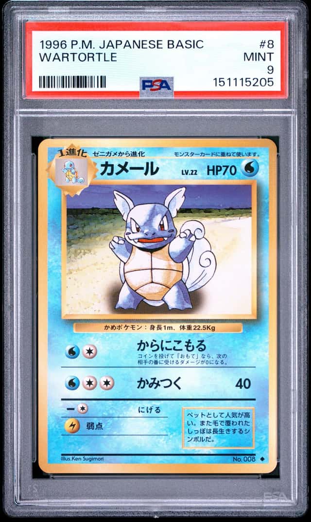 Wartortle