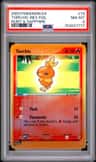 Torchic