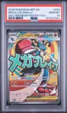 Mega Lucario Ex