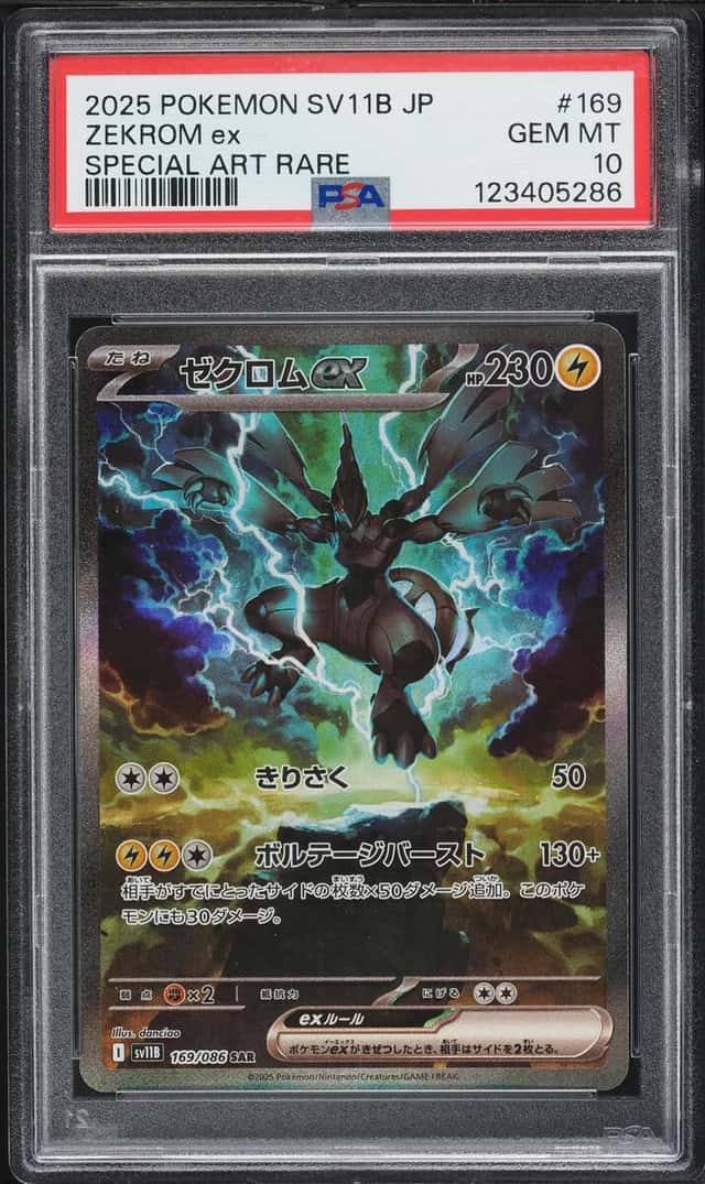 ZEKROM ex
