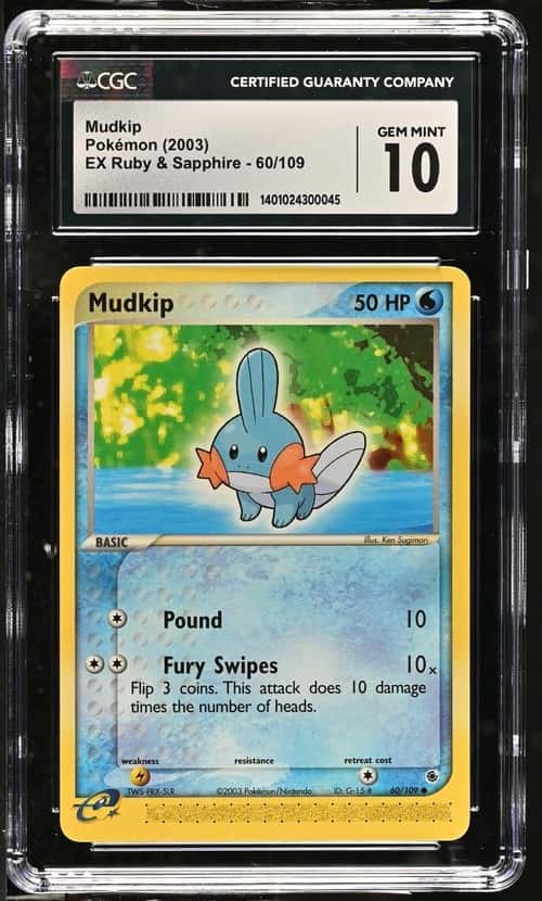 Mudkip