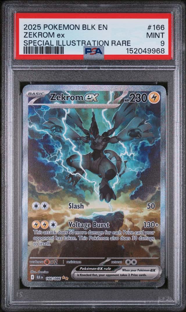 ZEKROM ex