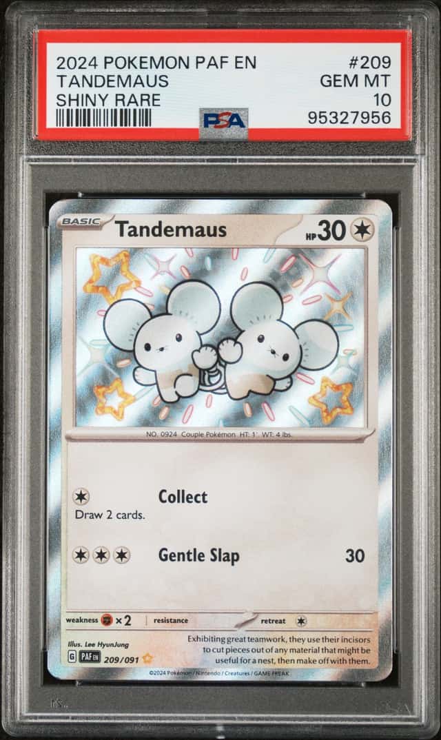 Tandemaus