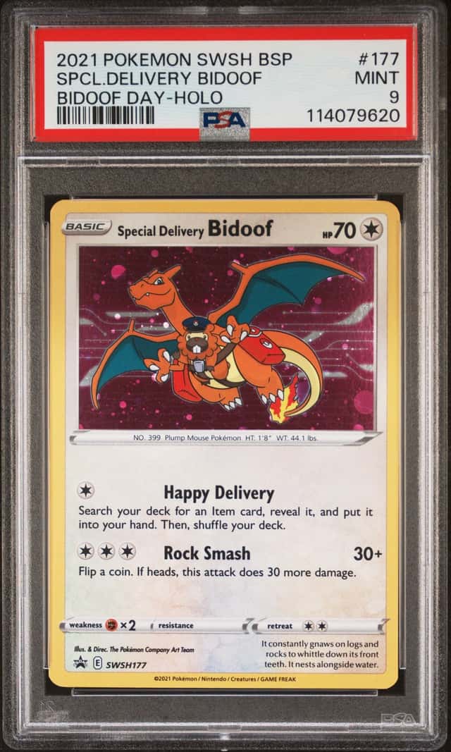 Special Delivery Bidoof