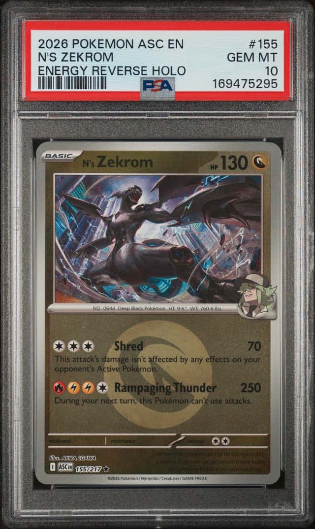 N's Zekrom