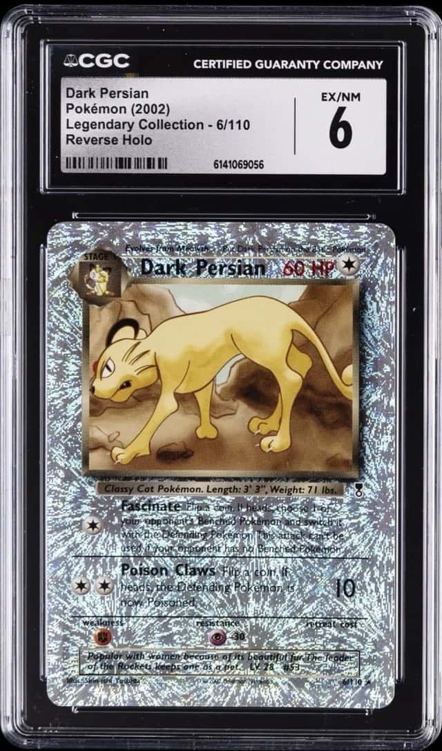 Dark Persian
