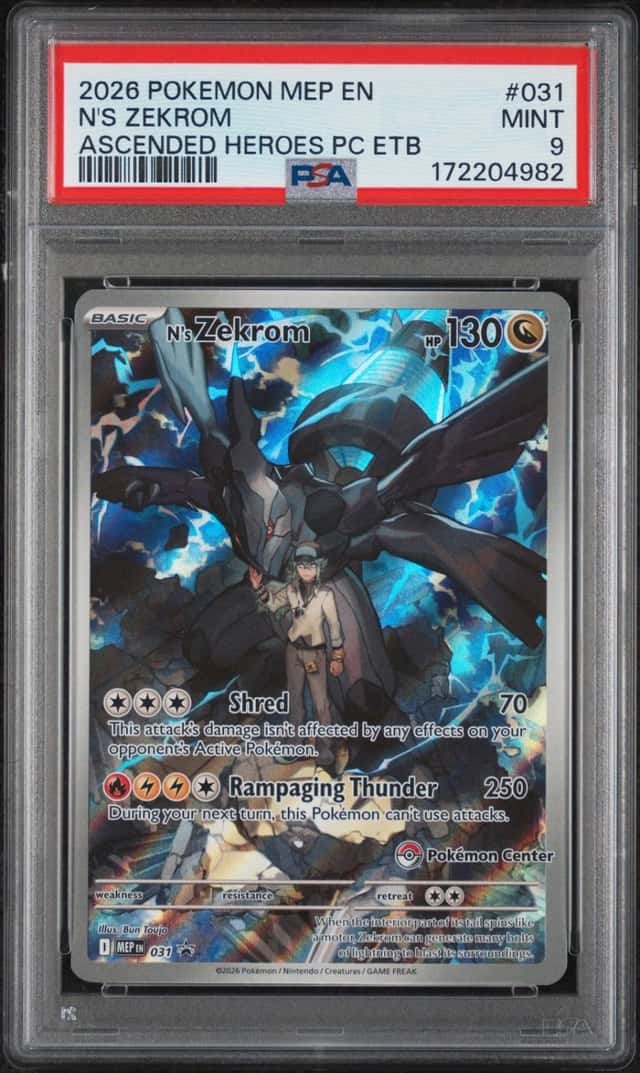 N's Zekrom