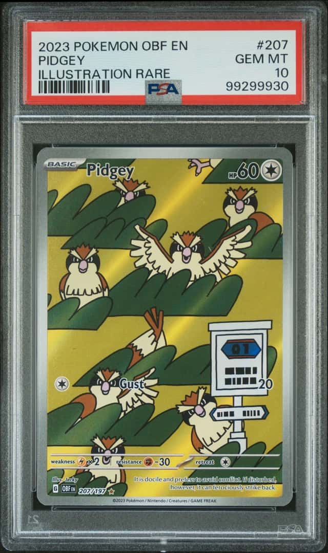 Pidgey