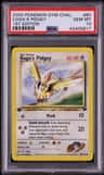 Koga'S Pidgey