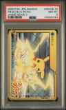 Pikachu & Pichu