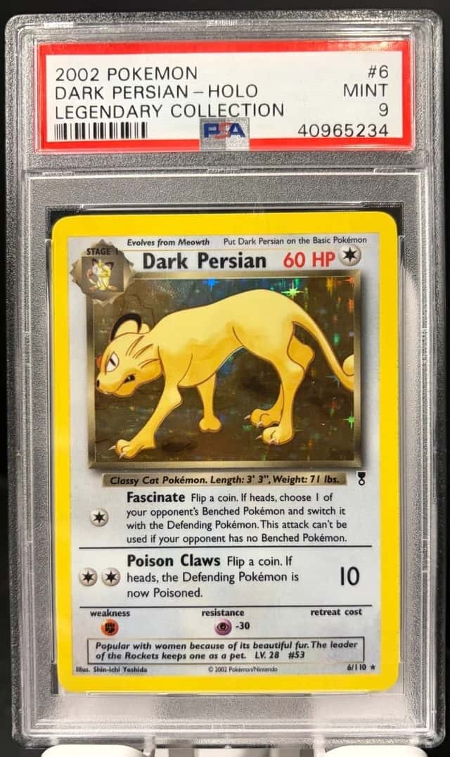 Dark Persian