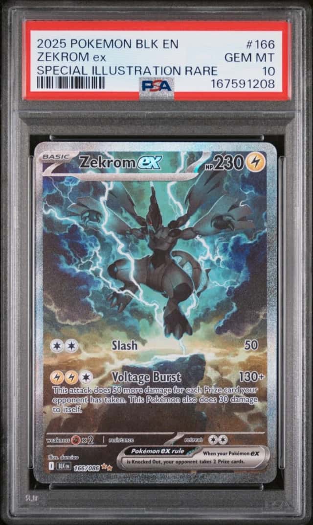 ZEKROM ex