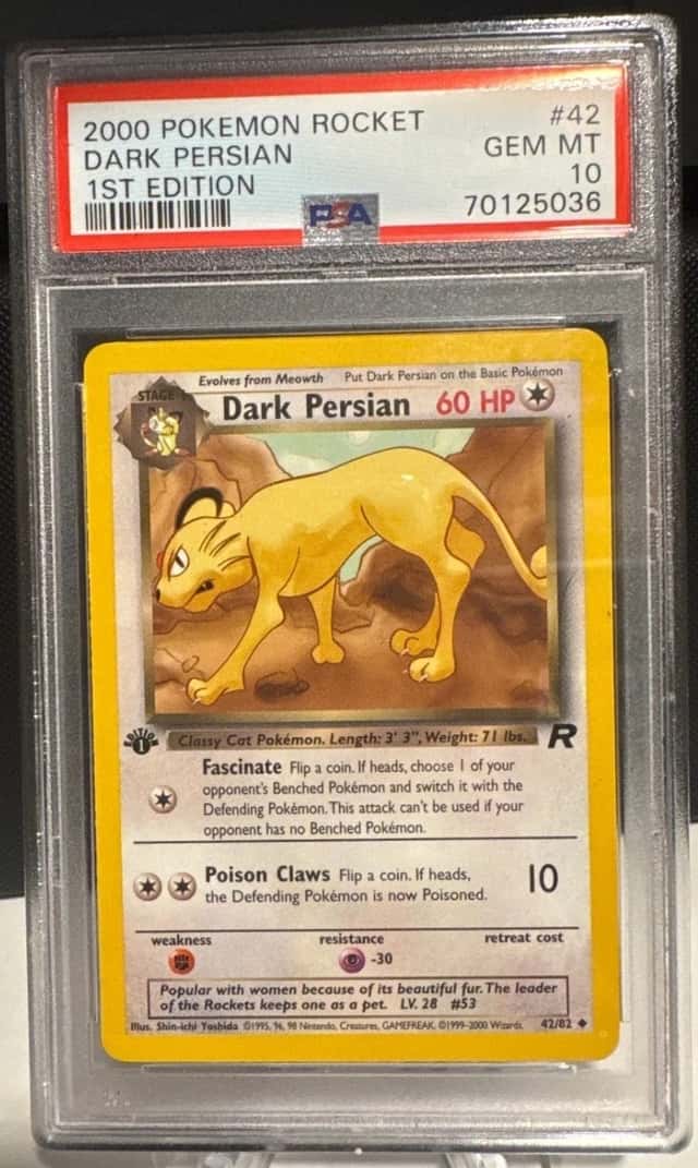 Dark Persian
