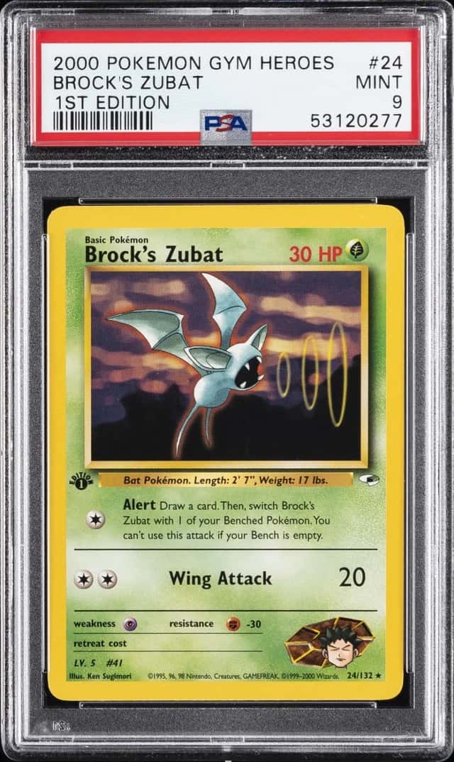 Brock's Zubat