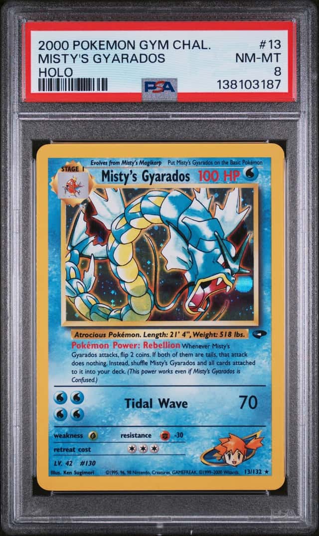 Misty's Gyarados