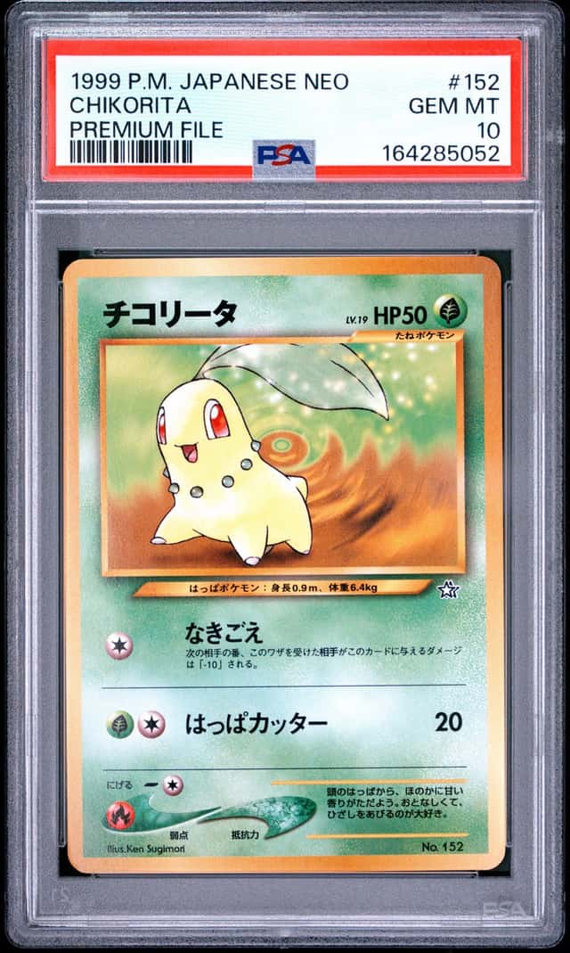 Chikorita