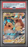 Raichu & Alolan Raichu Gx