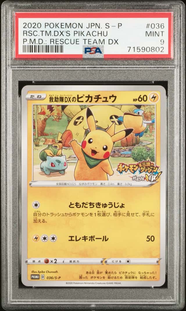 Rescue Team Dx's Pikachu