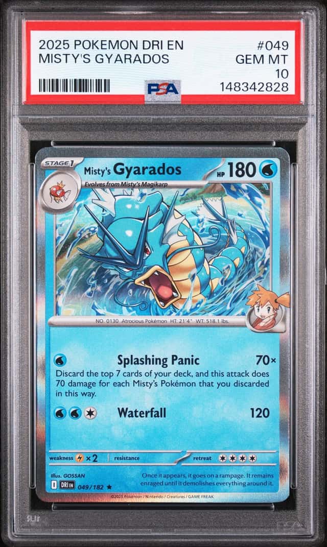 Misty's Gyarados
