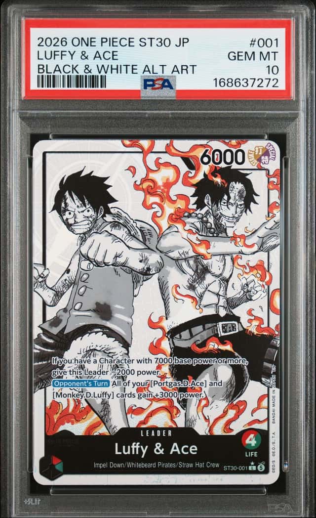 Luffy & Ace
