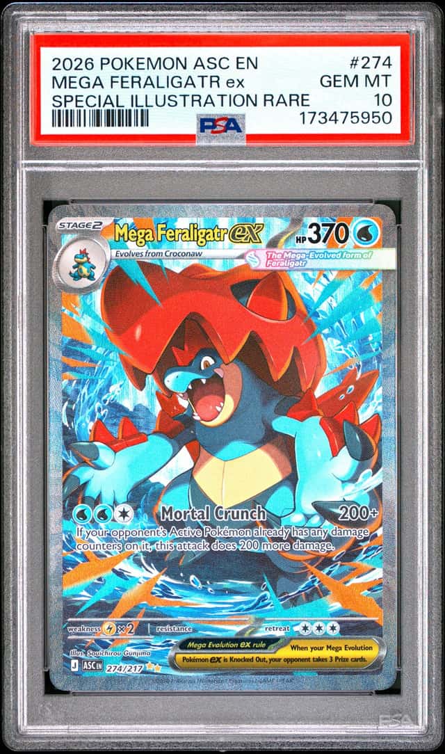 MEGA FERALIGATR ex