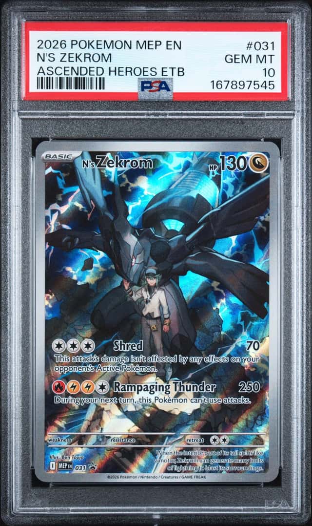 N's Zekrom