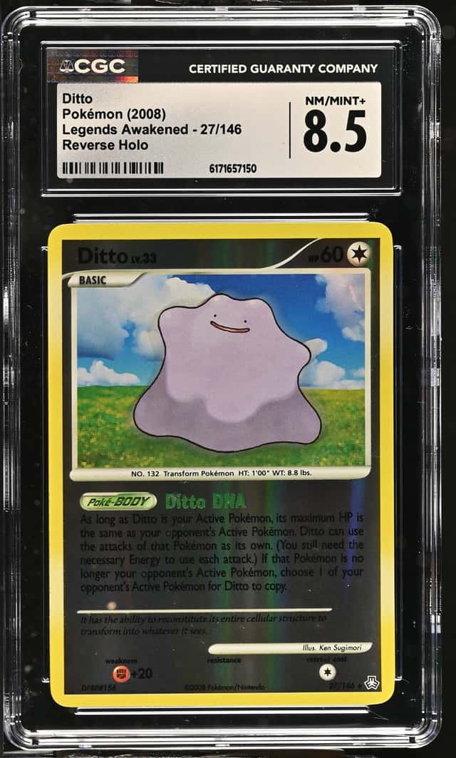 Ditto