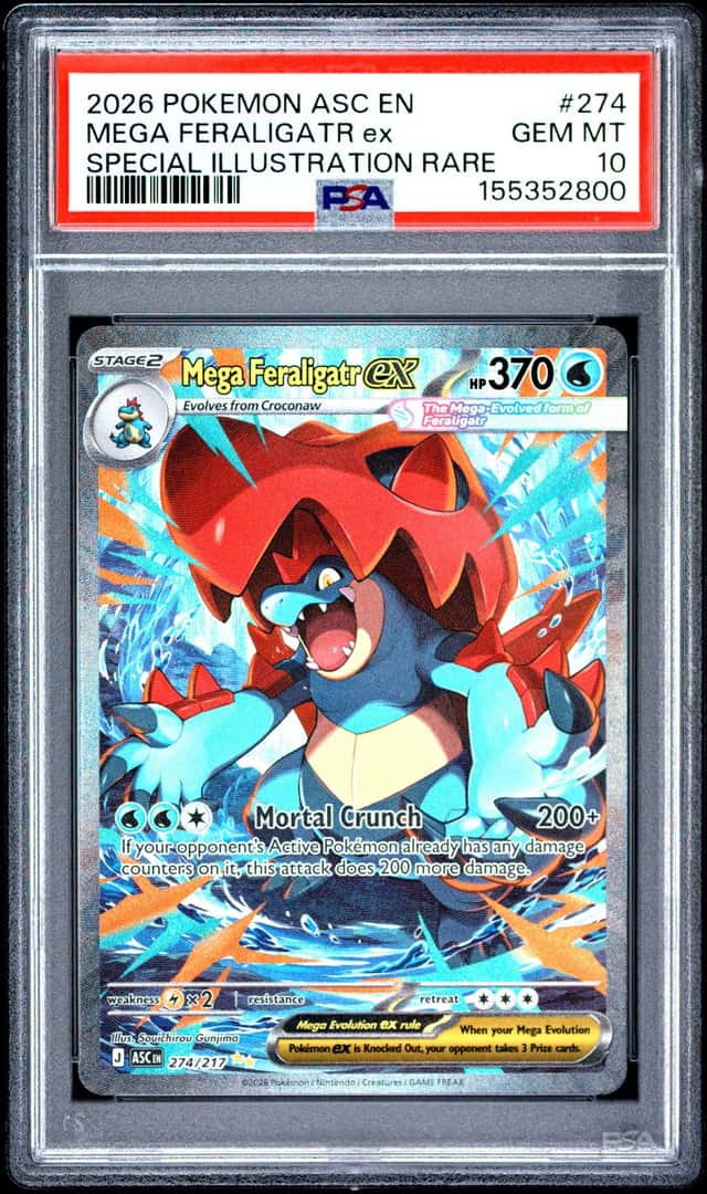 MEGA FERALIGATR ex