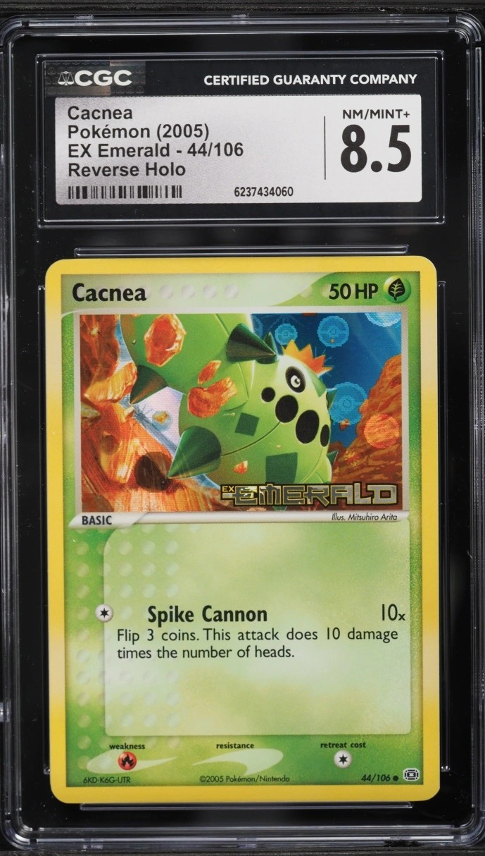Cacnea
