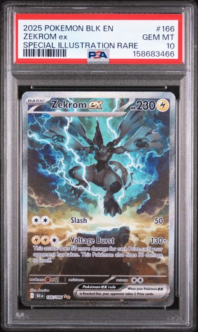 ZEKROM ex