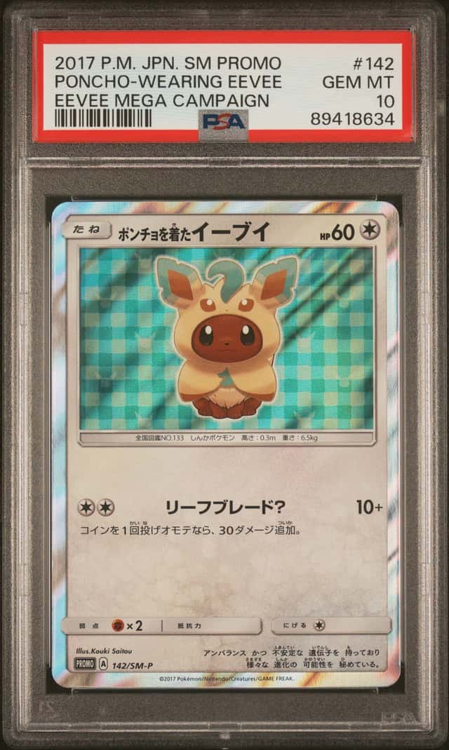 Poncho-Wearing Eevee